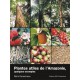 Plantes utiles d'Amazonie / livre