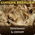 Ginseng Brésilien