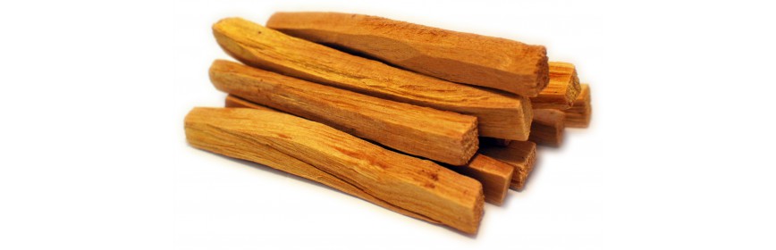 Palo Santo en batonnets ou huile essentielle