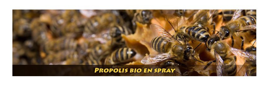 Propolis