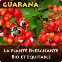 Guarana