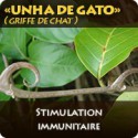 Griffe de Chat (Unha de Gato)